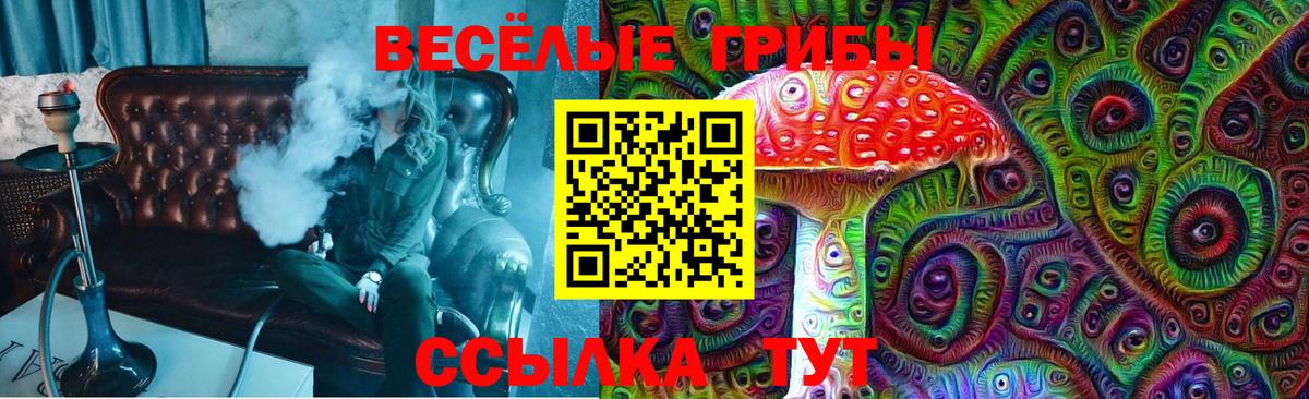 Коркино  Псилоцибиновые грибы Psilocybe  где купить наркоту  Вход с VPN 